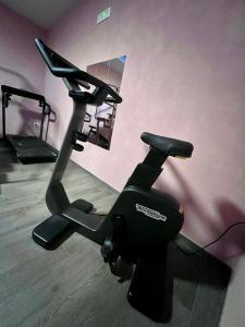 Fitness centrum a/nebo fitness zařízení v ubytování Hotel Bella Napoli ristorante & spa