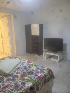 um quarto com uma cama e uma televisão de ecrã plano em Garsoniera em Malmo