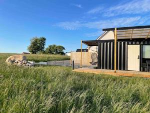 a house in the middle of a field of grass at Container in Hammenhög