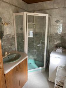 La salle de bains est pourvue d'une douche et d'un lavabo. dans l'établissement La Terasse des Vignes - Maison 2 Chambres - 4 Personnes, à Blienschwiller