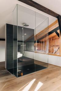 Una ducha de cristal en una habitación con techo en Bauernchalet elbacher gütel - Exklusives Ferienhaus am Starnberger See en Eurasburg