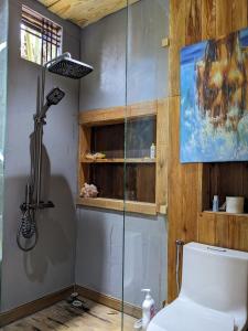 Hoat的住宿－HOMESTAY ĐỐM HOUSE，一间带玻璃淋浴和卫生间的浴室