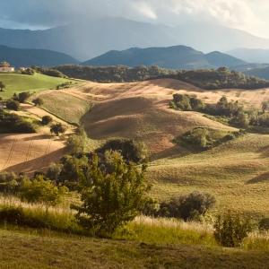 カーリにあるAgriturismo Il Fienile di Cà Battistaの山を背景にした畑の眺め