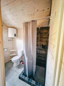 a bathroom with a shower and a toilet at Ramybės kampelis in Šventoji +28 photos