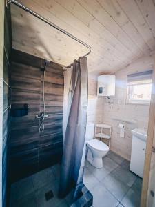 a bathroom with a toilet and a shower in it at Ramybės kampelis in Šventoji