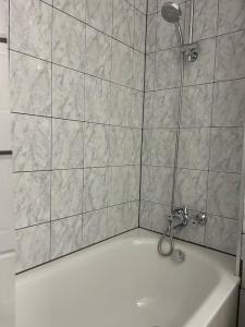 een badkamer met een douche en een bad bij Sonnenschein-Oase ,Apartment in Marl