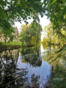 - une vue sur une rivière avec des arbres et un bâtiment dans l'établissement Authentique moulin à eau du ⅫⅠe siècle, à La Vernelle