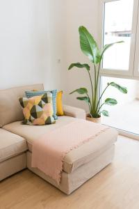 a living room with a couch and a plant at Mareas de Carril a 50m de la playa in Vilagarcia de Arousa