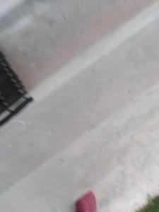 een voetpersoon met een roze schoen op een stoep bij 17 on Driffield in East London