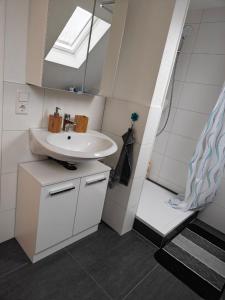 La salle de bains est pourvue d'un lavabo et d'une douche. dans l'établissement Home sweet home in Ludwigsburg, à Ludwigsbourg