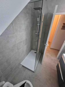 uma casa de banho com um chuveiro e uma porta de vidro em Magnifique Duplex Atypique proche Gare Mulhouse em Mulhouse