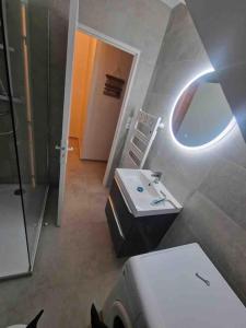 uma casa de banho com um lavatório e um espelho em Magnifique Duplex Atypique proche Gare Mulhouse em Mulhouse