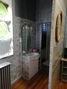 ein Bad mit einem Waschbecken und einer Dusche in der Unterkunft Chambre avec douche in Lourdes