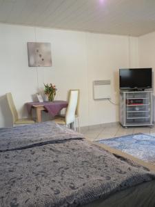 a bedroom with a bed and a flat screen tv at Ferienpark Buntspecht Bungalow 7 in Pruchten