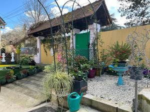 un jardin avec des plantes en pot et une porte verte dans l'établissement Wonderland21, à Saint-Germain-sur-Morin