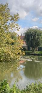 a view of a river with trees and a building at Au Lampadaire Briarois in Briare