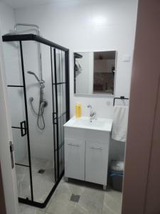 uma casa de banho com um chuveiro, um lavatório e um espelho. em Shalom's place em Eilat