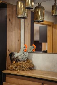 um par de galinhas sentadas num ninho em Apartmany pod Pustevnami em Prostrední Becva