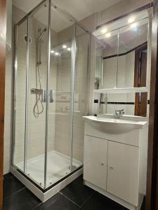 La salle de bains est pourvue d'un lavabo et d'une douche. dans l'établissement Altissim Grizzly, au Pas de la Case