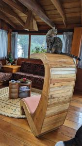 a cat sitting on top of a wooden stand in a room at Finca Petrona in Mindo