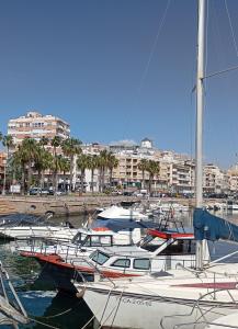Er liggen boten in een haven. bij Plein centre, proche plage et port, garage in Águilas