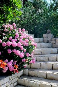 Žrnovo的住宿－Olive Hill，一堆楼梯上的粉红色花