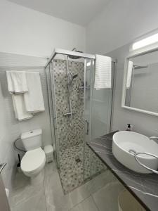 ein Bad mit einer Dusche, einem WC und einem Waschbecken in der Unterkunft ARF Apartments in Emba