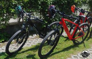 deux vélos garés l'un à côté de l'autre sur l'herbe dans l'établissement Evergreen Balvanyos, à Bálványos