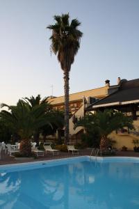 a large swimming pool with a palm tree in front of a building at Hotel Marinella in Pizzo