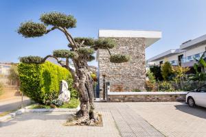 a tree on a sidewalk in front of a building at Village Esperia in Potos