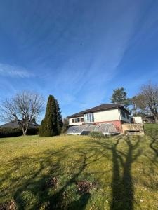 a house on a grassy hill with a tree at Haus mit Pool und Panoramablick in Hirschaid