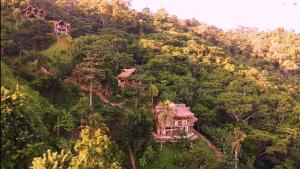 a house on a hill in the middle of a forest at Niuwi Hostel in Buritaca