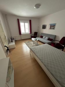 ein Wohnzimmer mit einem Bett und einem Sofa in der Unterkunft Apartmán 3 + kk blízko centra in Hradec Králové