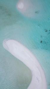 an aerial view of a white island in the ocean at Hide Inn Blue in Nilandhoo