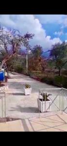 ein Parkplatz mit Tor und einigen Pflanzen in der Unterkunft VANGJELIS HOTEL in Himarë