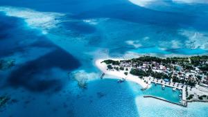 an aerial view of an island in the ocean at Hide Inn Blue in Nilandhoo