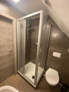 ein Bad mit einer Dusche und einem WC in der Unterkunft Hotel & Gasthof Zur Linde in Middelhagen