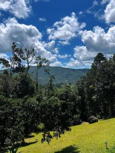 a green field with trees and a blue sky with clouds at Hacienda Verde Luz 