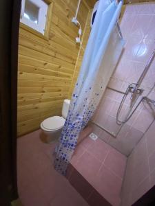 a bathroom with a toilet and a shower curtain at Дом Отдыха Айзада in Qabanbay