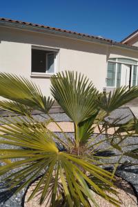 a palm tree in front of a building at Chambre d'hôte dans une propriété avec piscine 