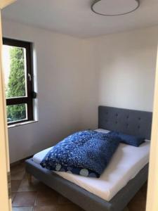 a bedroom with a bed with blue pillows and a window at Appartement-Ferien-Messewohnung in Bad Nenndorf