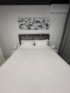 1 dormitorio con 1 cama blanca y 2 almohadas blancas en Perla Home 2 Bedrooms Apartment, en Popeşti-Leordeni