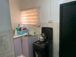 uma pequena cozinha com um fogão e um lavatório em Adel’s Place em Abuja