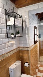 łazienka z toaletą i półką z ręcznikami w obiekcie Zarraci La Guía w mieście Gijón