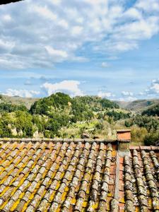 un techo antiguo con vistas a la montaña en Santa Monaca Medieval House, en Sorano