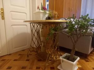 Foto de la galería de Old Gate en Tʼelavi
