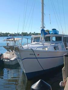 a white boat docked at a dock in the water at Dream Lady in Jewfish