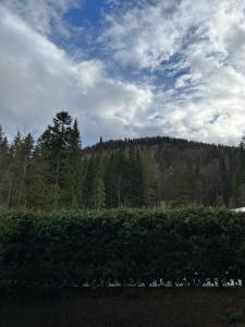 Příroda nedaleko apartmánu + 27 fotografií