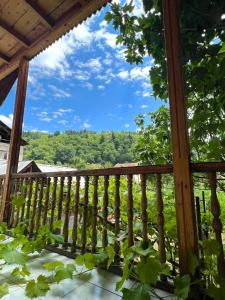 desde el balcón de una cabaña con vistas a los árboles en Buba, en Oni