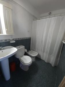 La salle de bains est pourvue de toilettes, d'un lavabo et d'une douche. dans l'établissement Departamento Playa Grande Alem Golf, à Mar del Plata